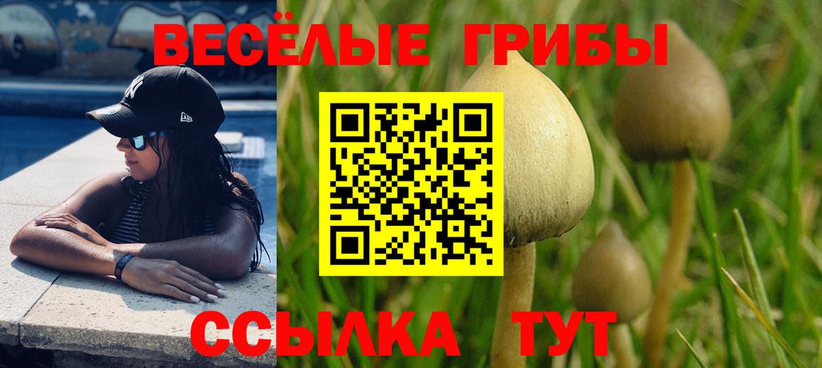 Псилоцибиновые грибы Magic Shrooms Вятские Поляны