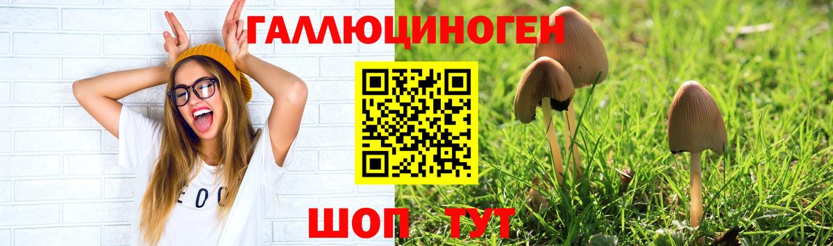 Галлюциногенные грибы Magic Shrooms  Вход с VPN  Вятские Поляны 