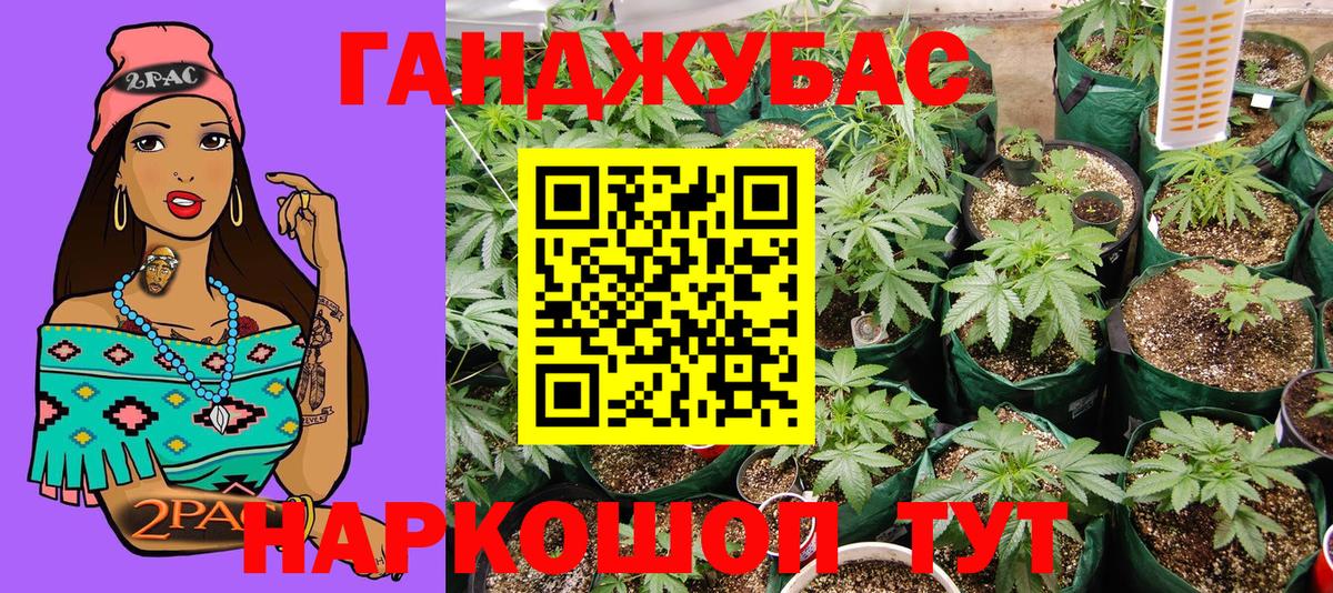 Каннабис сатива  Вход с VPN  Вятские Поляны  Канабис гибрид 